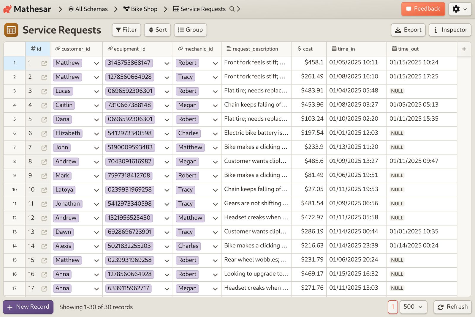 Bike Shop Service primary data table screenshot