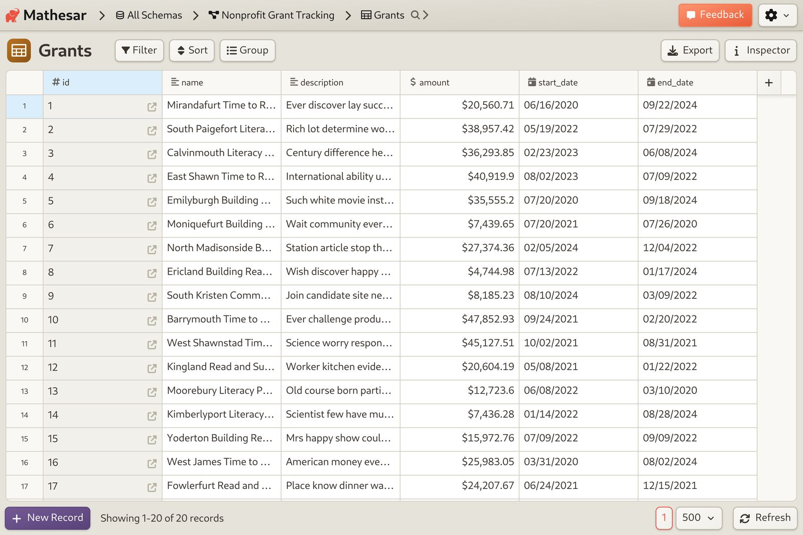 Nonprofit Grant Tracking primary data table screenshot